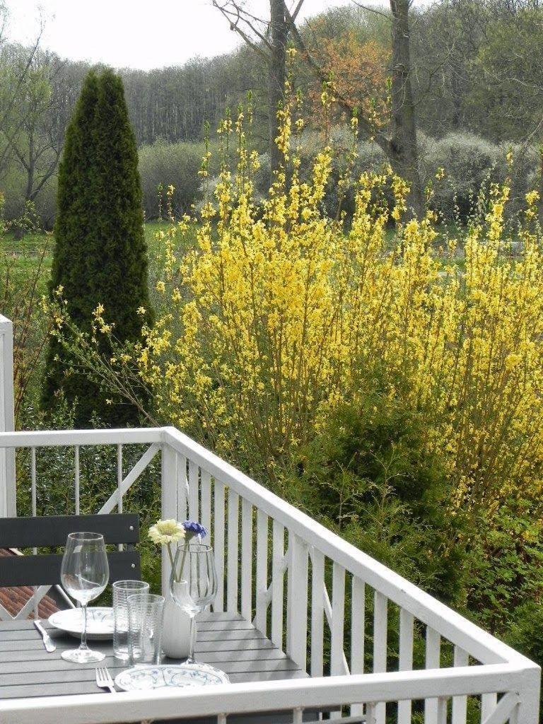 Ferienwohnung Nils Holgerson mit Balkon zwischen Strand, Wald&Wiese im Südosten der Insel Rügen! Gustow  Exterior foto